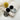 #farbe_schwarz-leo-beige