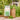 #sorte_pesto-basilikum