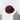 #farbe_solid-wine-red-pink