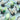 #motiv_schmetterling-weiß