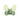 #motiv_schmetterling_gruen