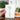 #motiv_lass-dich-feiern