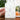 #motiv_bunter-blumenregen