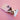 #variante_tierischer-witz